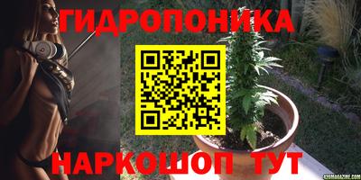 крисы Мариинск
