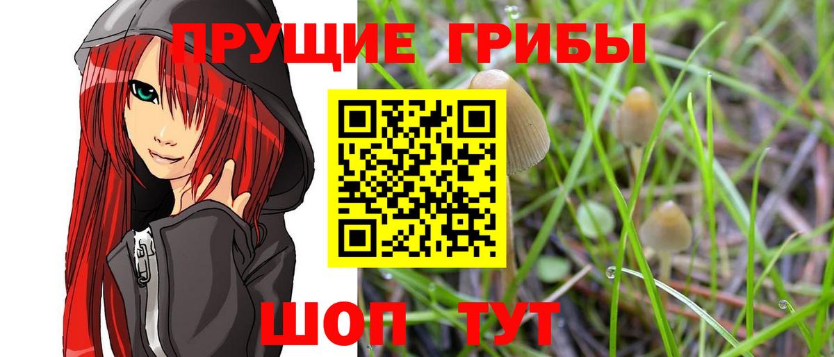 сколько стоит  Вход с VPN  Шатура  Псилоцибиновые грибы MAGIC MUSHROOMS  Галлюциногенные грибы MAGIC MUSHROOMS 